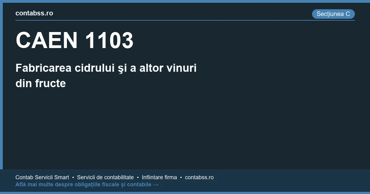 Cod CAEN 1103 - Fabricarea cidrului şi a altor vinuri din fructe