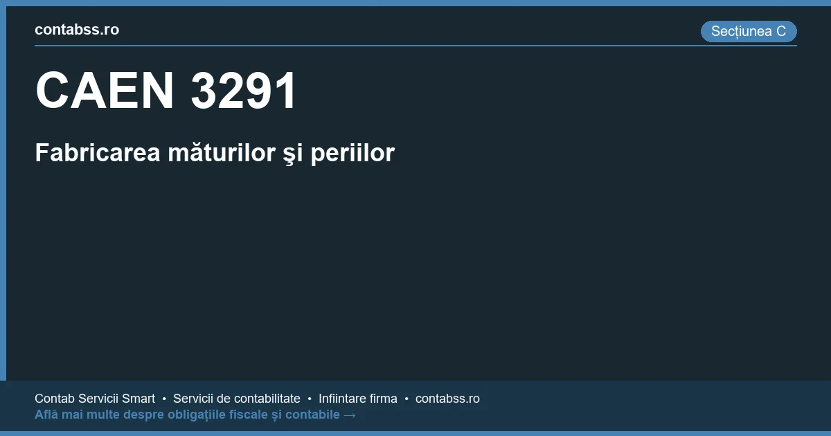 Cod CAEN 3291 - Fabricarea măturilor şi periilor
