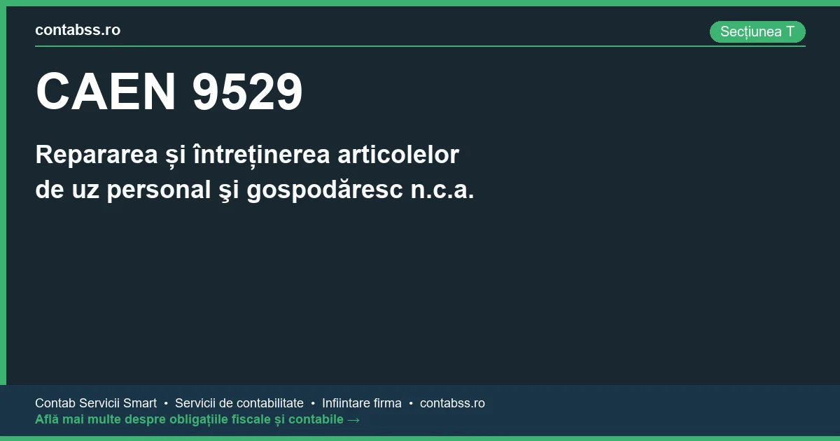 Cod CAEN 9529 - Repararea și întreținerea articolelor de uz personal şi gospodăresc n.c.a.