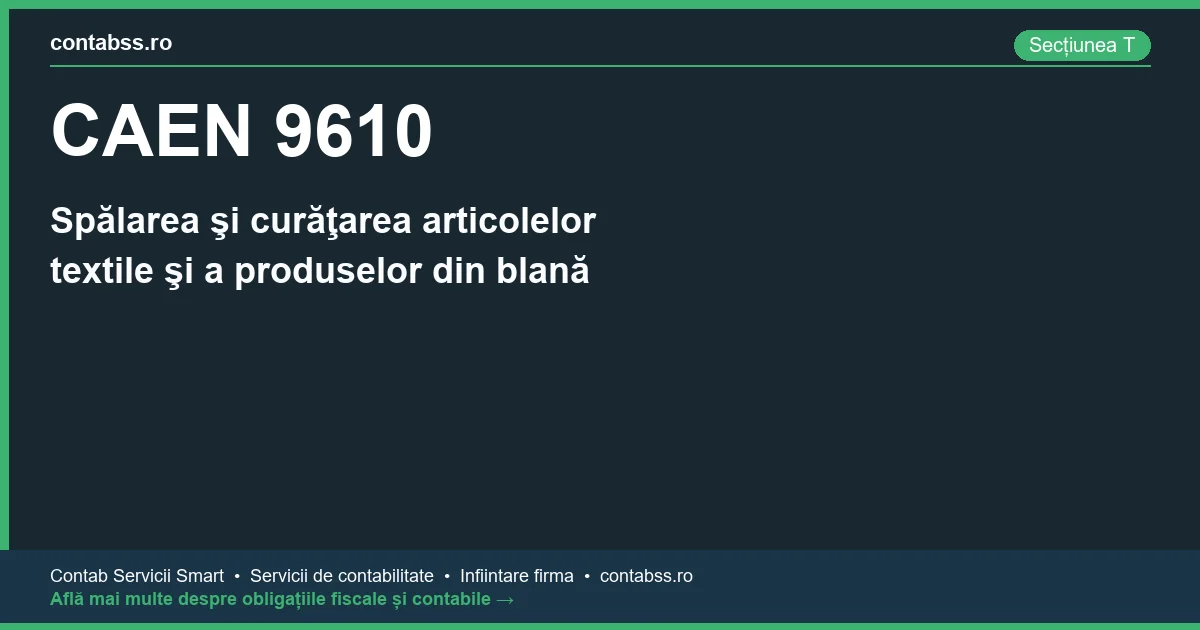 Cod CAEN 9610 - Spălarea şi curăţarea articolelor textile şi a produselor din blană